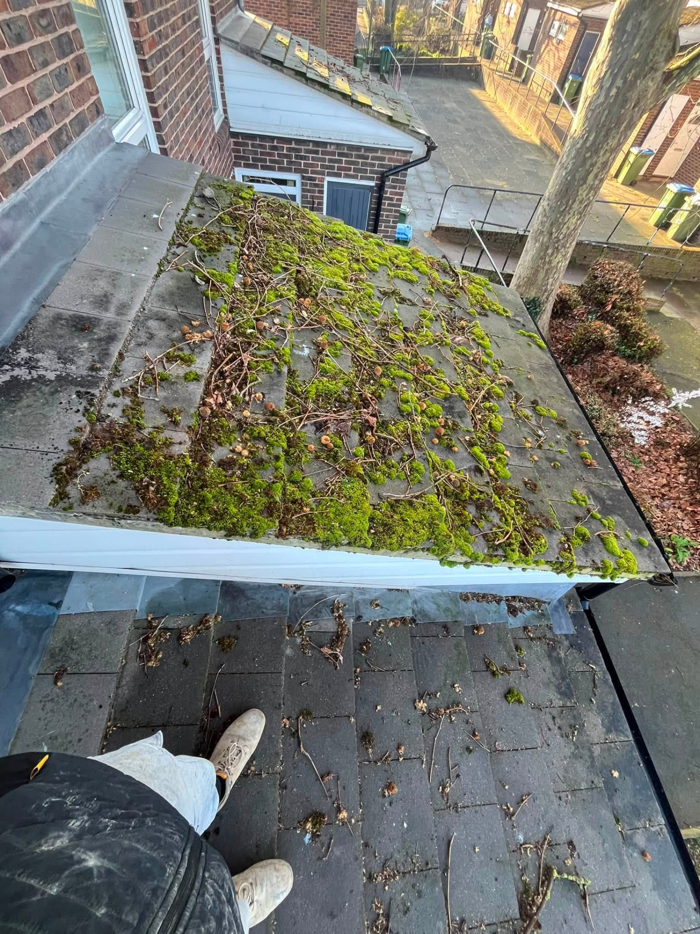 Thick moss and debris across the lower roof section before clearing