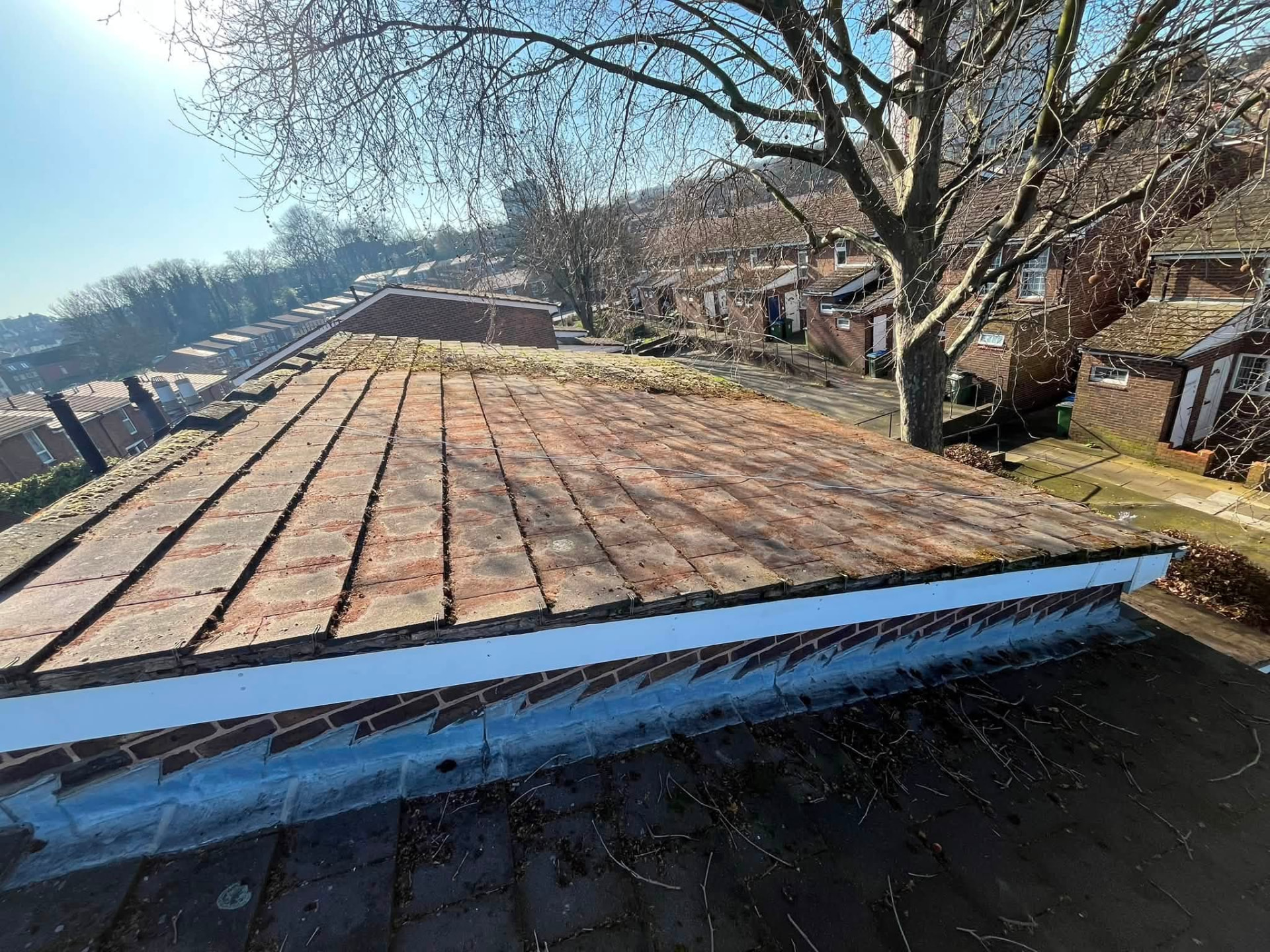 Clean roof slope after heavy moss removal in bright sunshine
