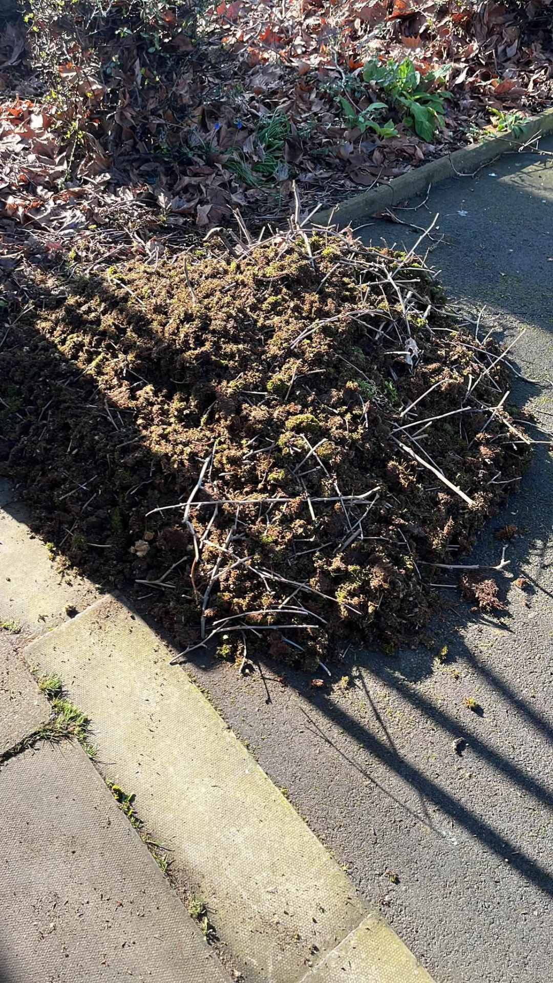 Pile of moss and debris cleared from the roof and left tidy for removal