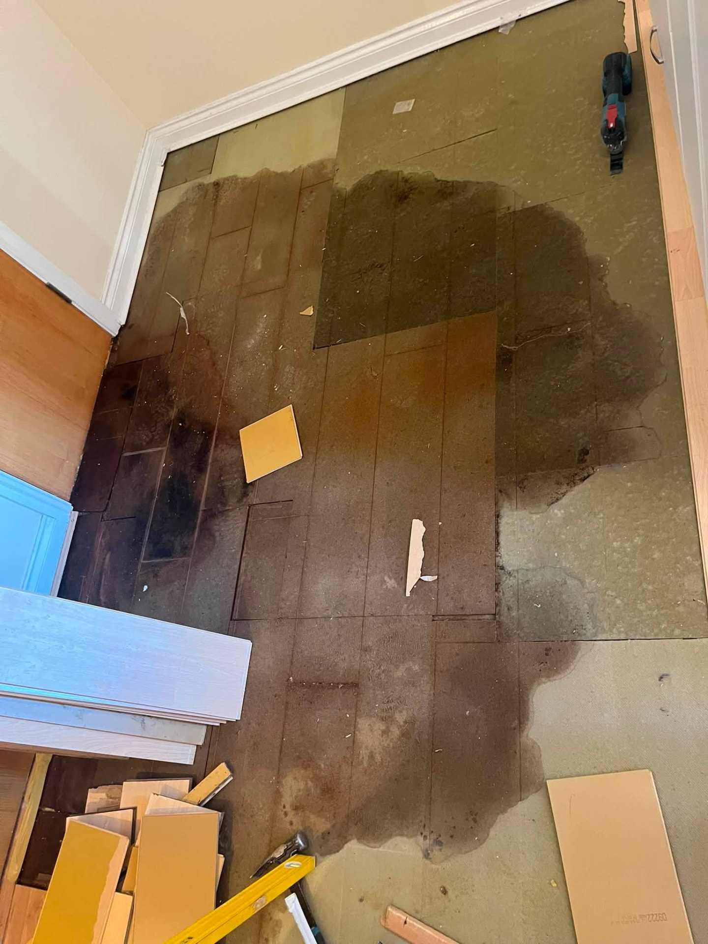 Extensive water damage revealed on the floorboards beneath the old flooring