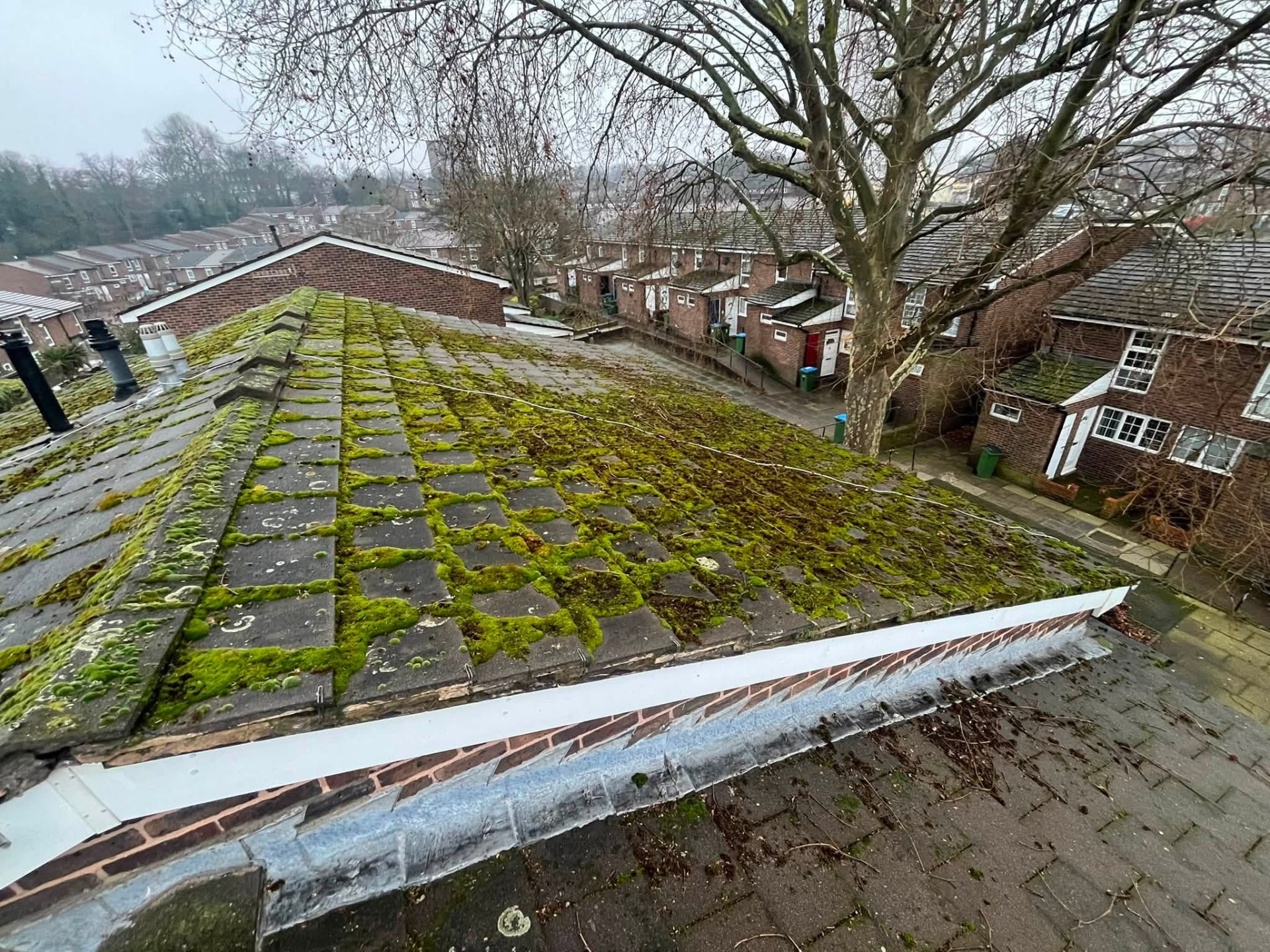 Roof heavily covered in moss viewed from above before repair works