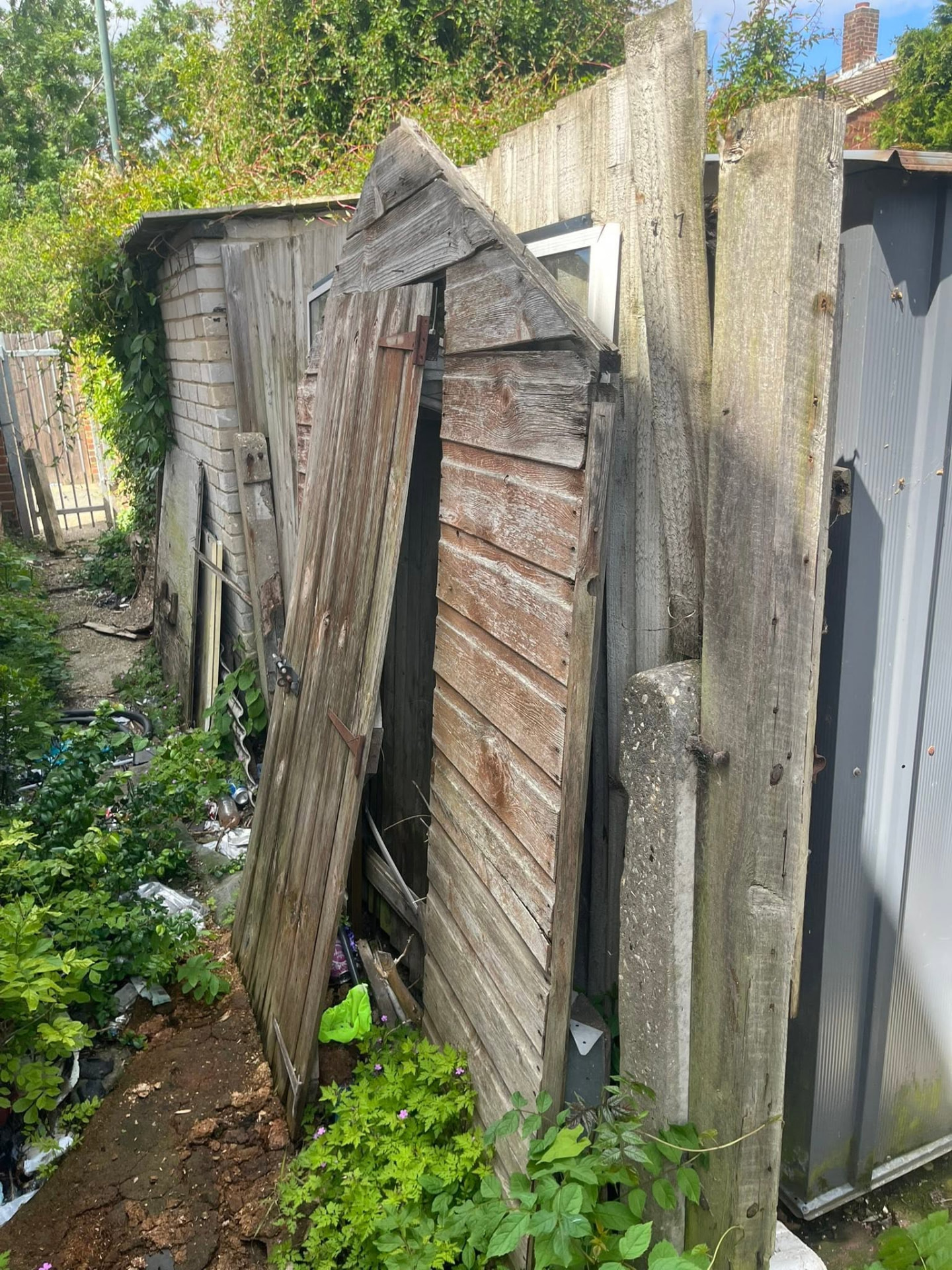 Rotten timber fence panels stacked and leaning beside the shed