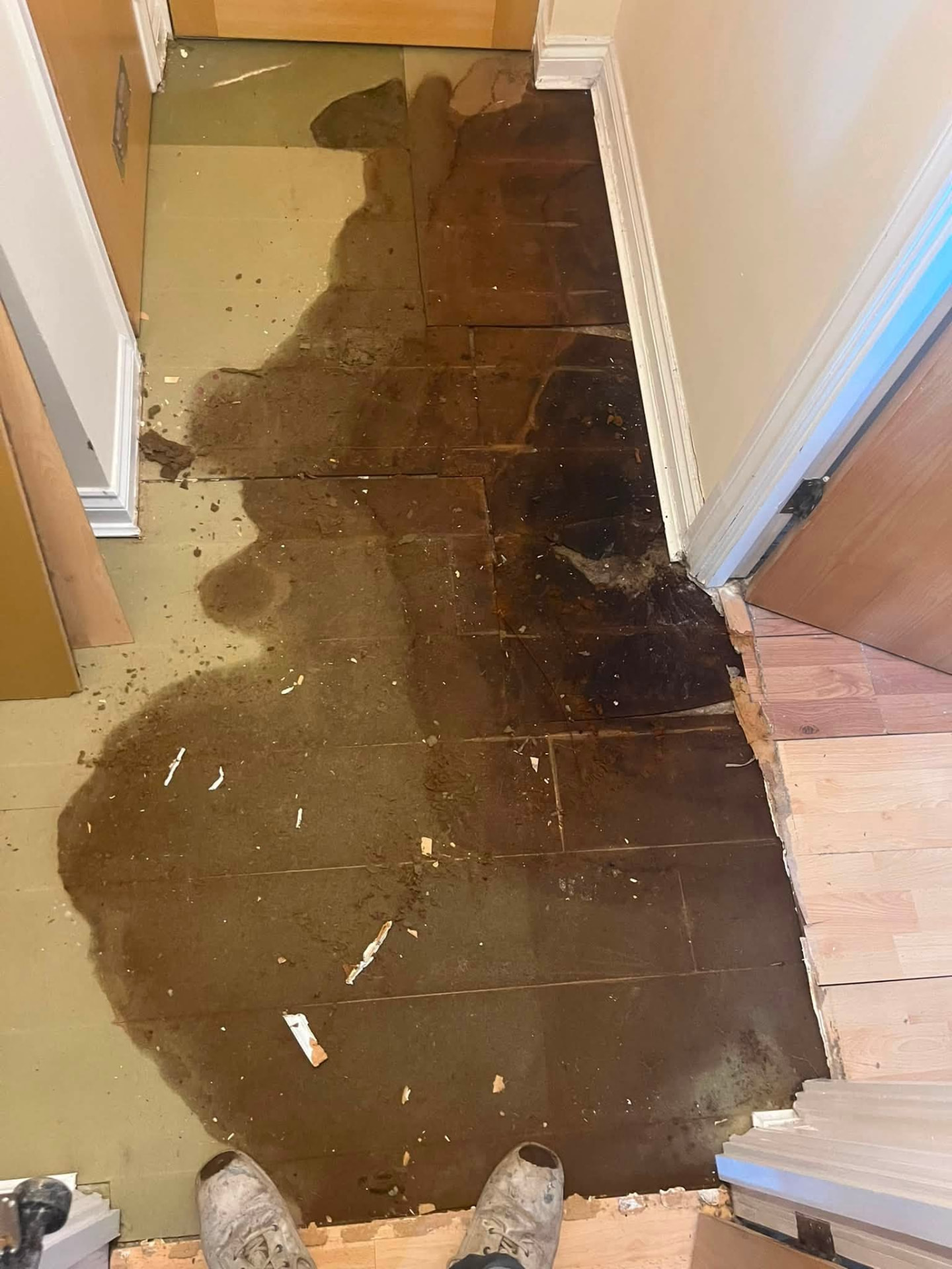 Large water stain tracking across the hallway floor substrate once the flooring was lifted