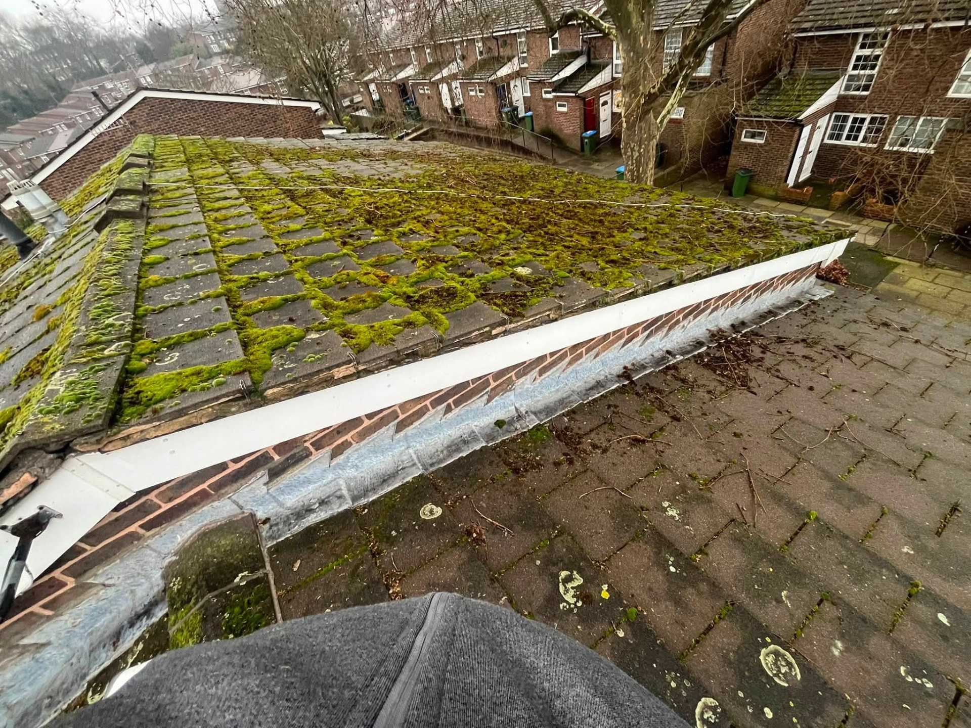 Moss covered roof slope with edge detail being assessed