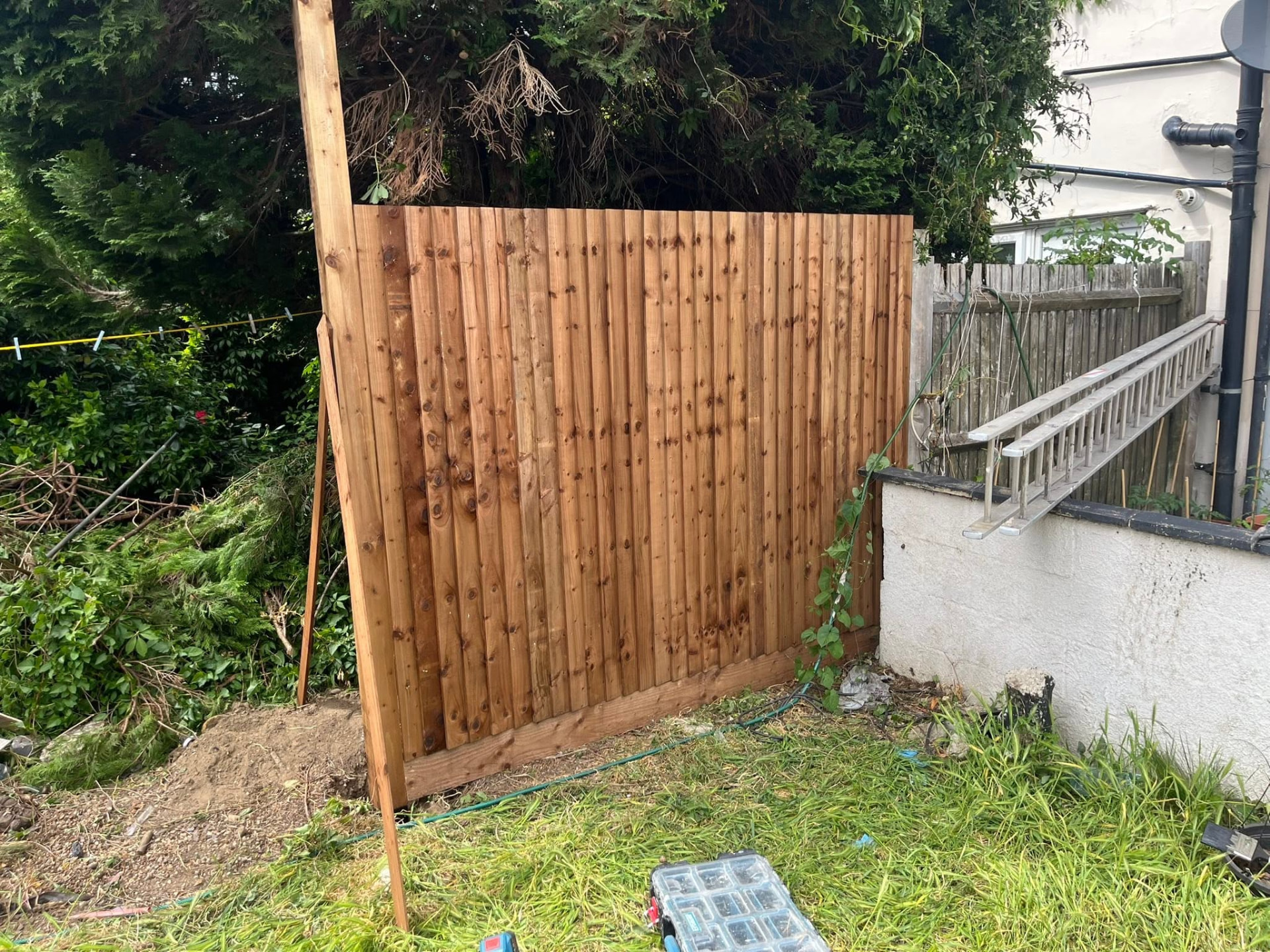 First new pressure-treated fence panel installed and braced